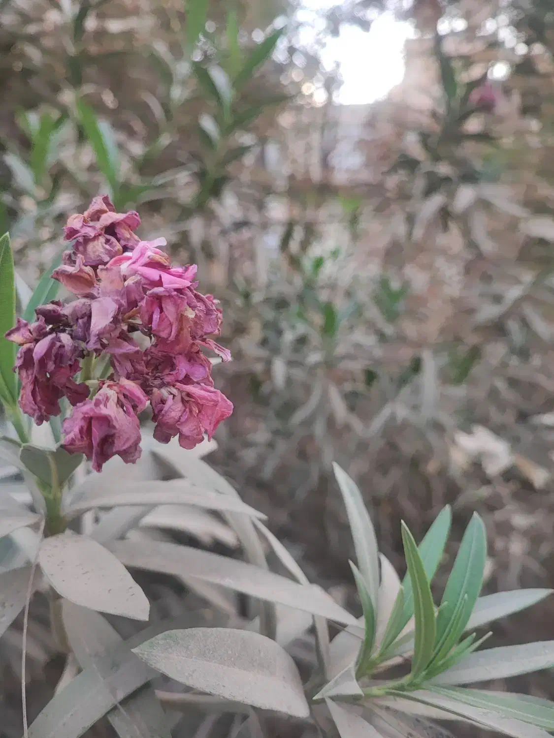 نیروی خانه ی بازی|استخدام آموزشی|اسلامشهر, شهرک واوان|دیوار