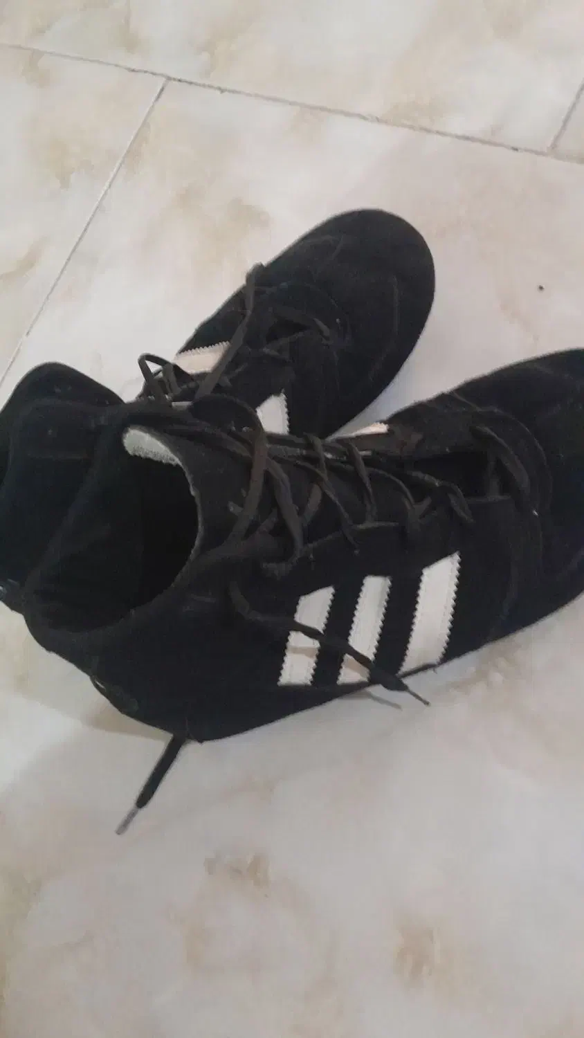 کفش کشتی|تجهیزات ورزشی|مشهد, کشف|دیوار