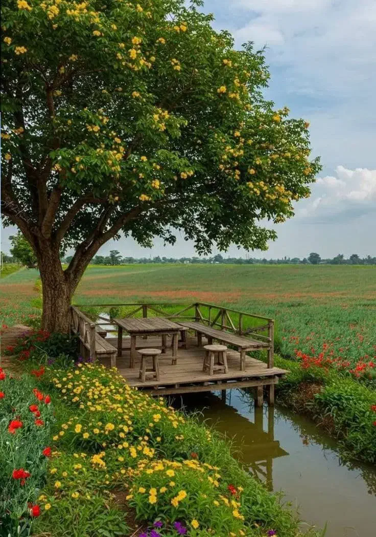 ضامن|خدمات مالی، حسابداری، بیمه|برازجان, |دیوار