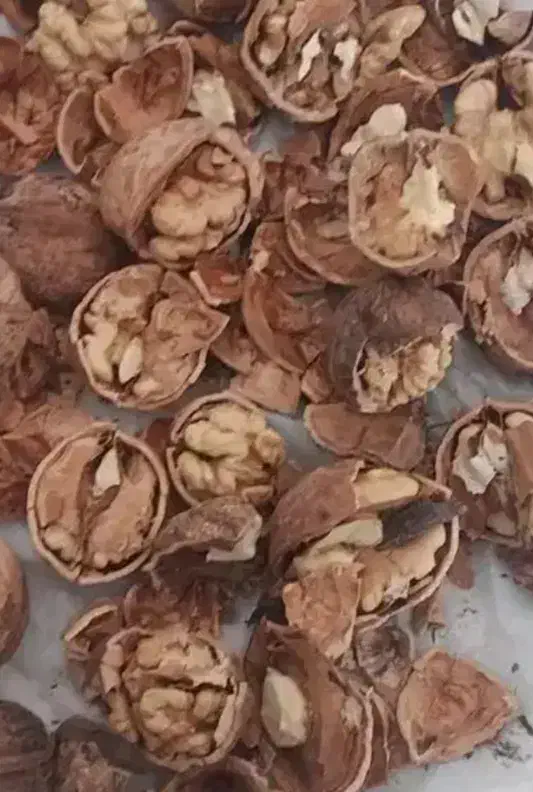 گردو|خوردنی و آشامیدنی|شیروان (خراسان), |دیوار