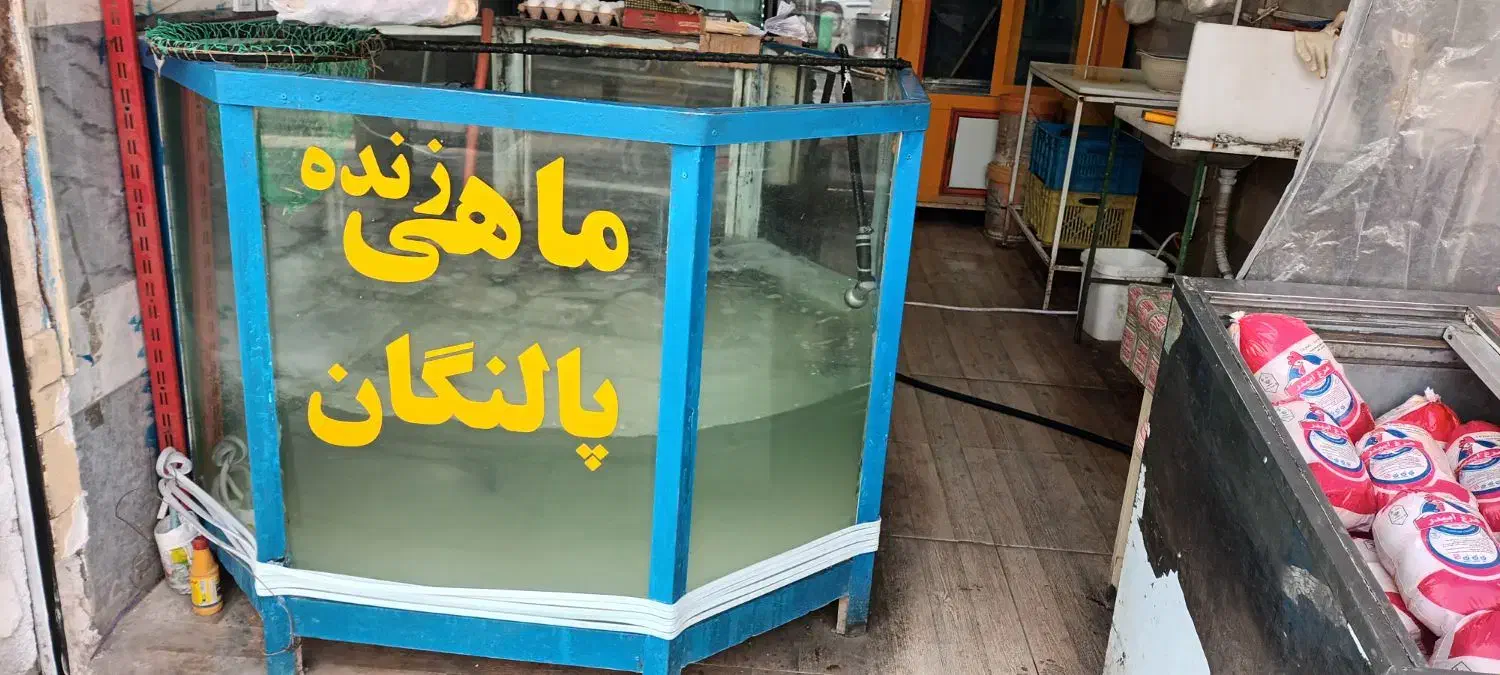 اکواریوم ماهی قزل آلا|فروشگاه و مغازه|سریش آباد, |دیوار