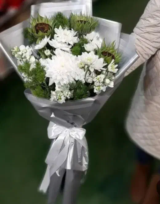 پخش عمده داوودی و رز هلندی و آلستر|گل و گیاه طبیعی|مشهد, نیروی هوایی|دیوار