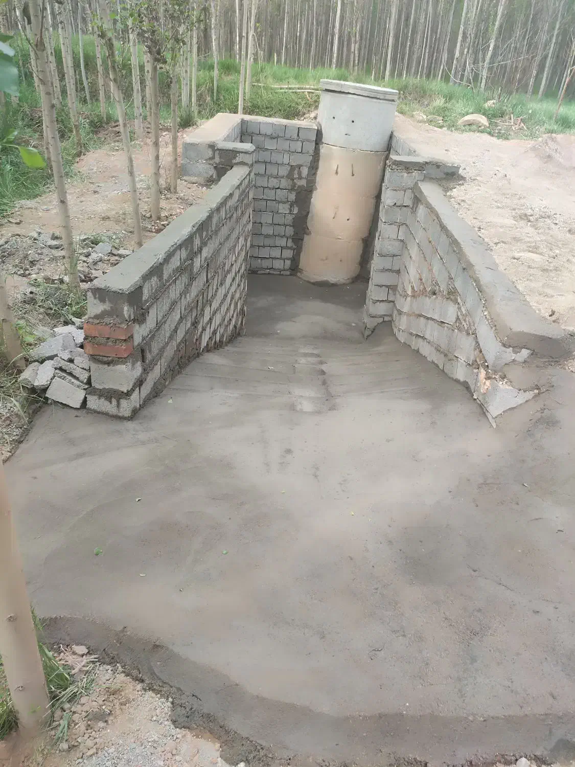 زمین کشاورزی صنوبر|فروش دفتر صنعتی، کشاورزی، تجاری|شاهین دژ, |دیوار