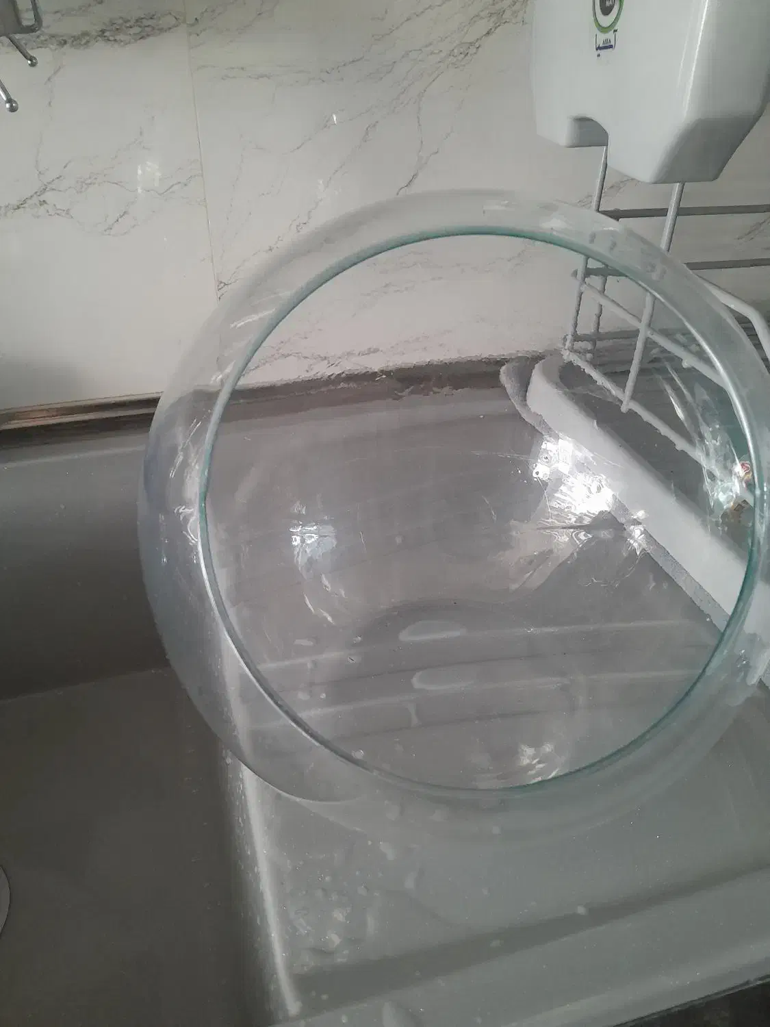 تنگ|گل و گیاه طبیعی|تهران, خانی آباد نو شمالی|دیوار