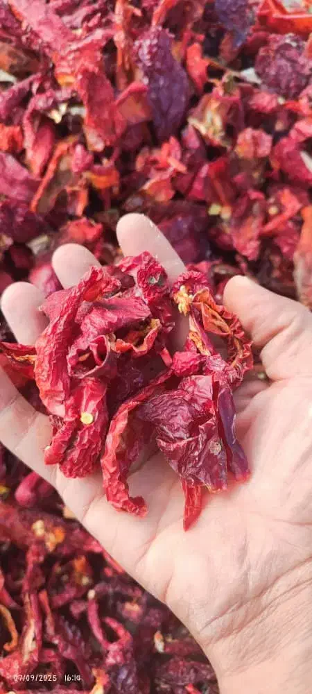 پاپریکاخشکشدهخالصوخوشعطر|خوردنی و آشامیدنی|مبارکه, |دیوار