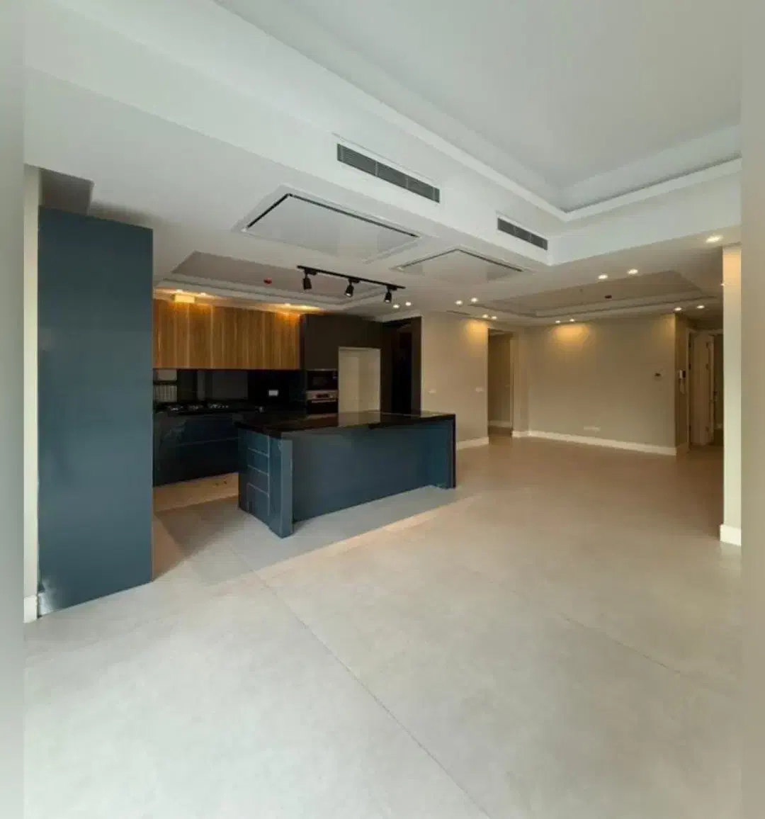 قیطریه 165 متر تراس قابل چیدمان / ورودی از لابی|فروش آپارتمان|تهران, قیطریه|دیوار