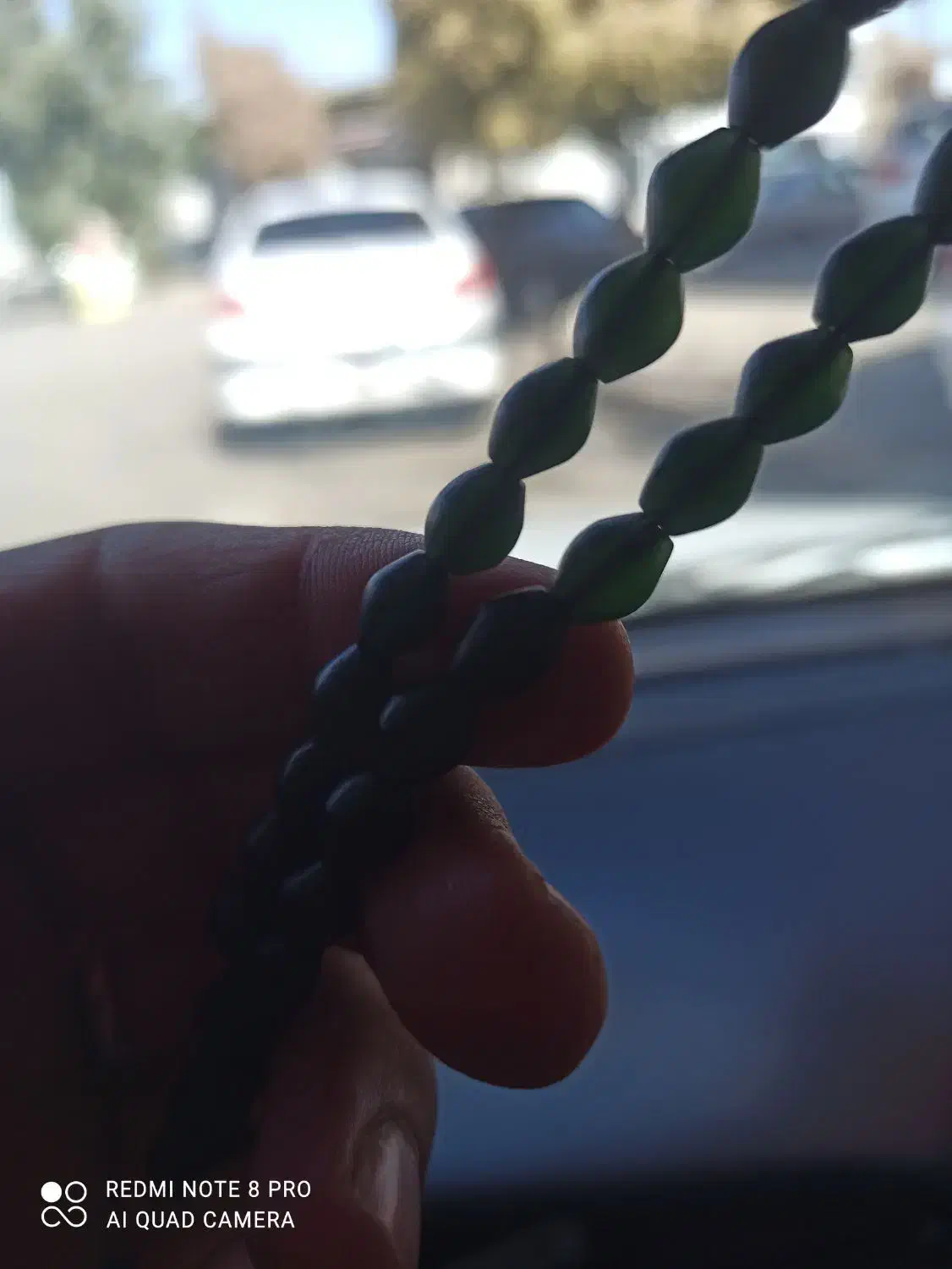 پیدا شده|اشیا|سیرجان, |دیوار