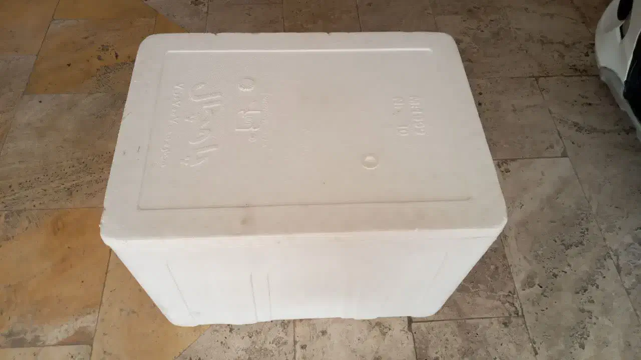 یخدان|ظروف نگهدارنده، پلاستیکی، یک‌بارمصرف|دلیجان, |دیوار