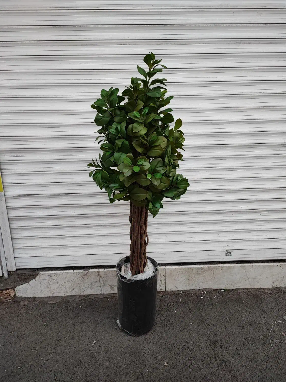 درختچه خارجی مصنوعی|گل مصنوعی|قم, نیروگاه|دیوار