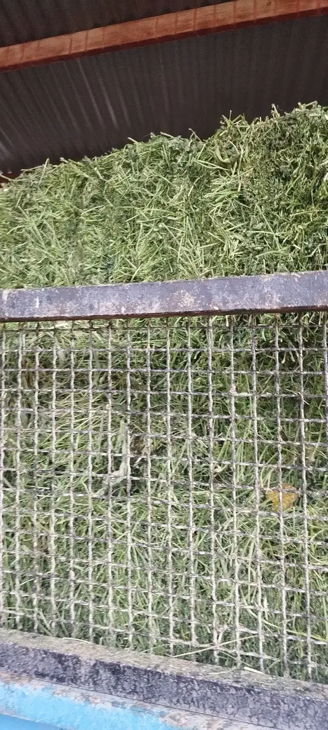 یونجه|لوازم جانبی حیوانات|بیستون, |دیوار