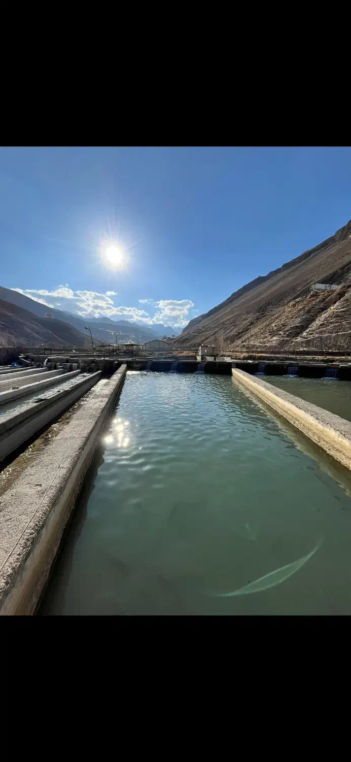 فروش پرورش ماهی با بهترین آب. هوا و لوکیشن|فروش دفتر صنعتی، کشاورزی، تجاری|رینه, |دیوار