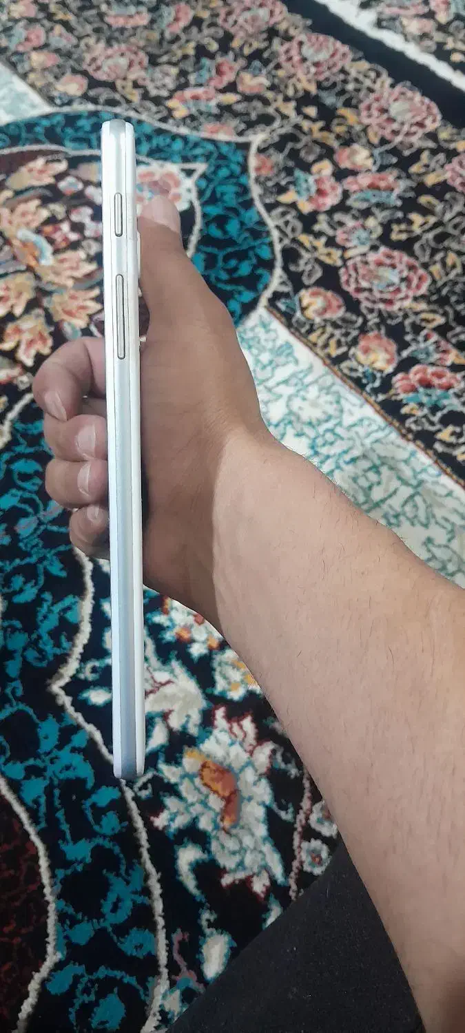 تبلت|تبلت|تربت‌حیدریه, ترمینال|دیوار