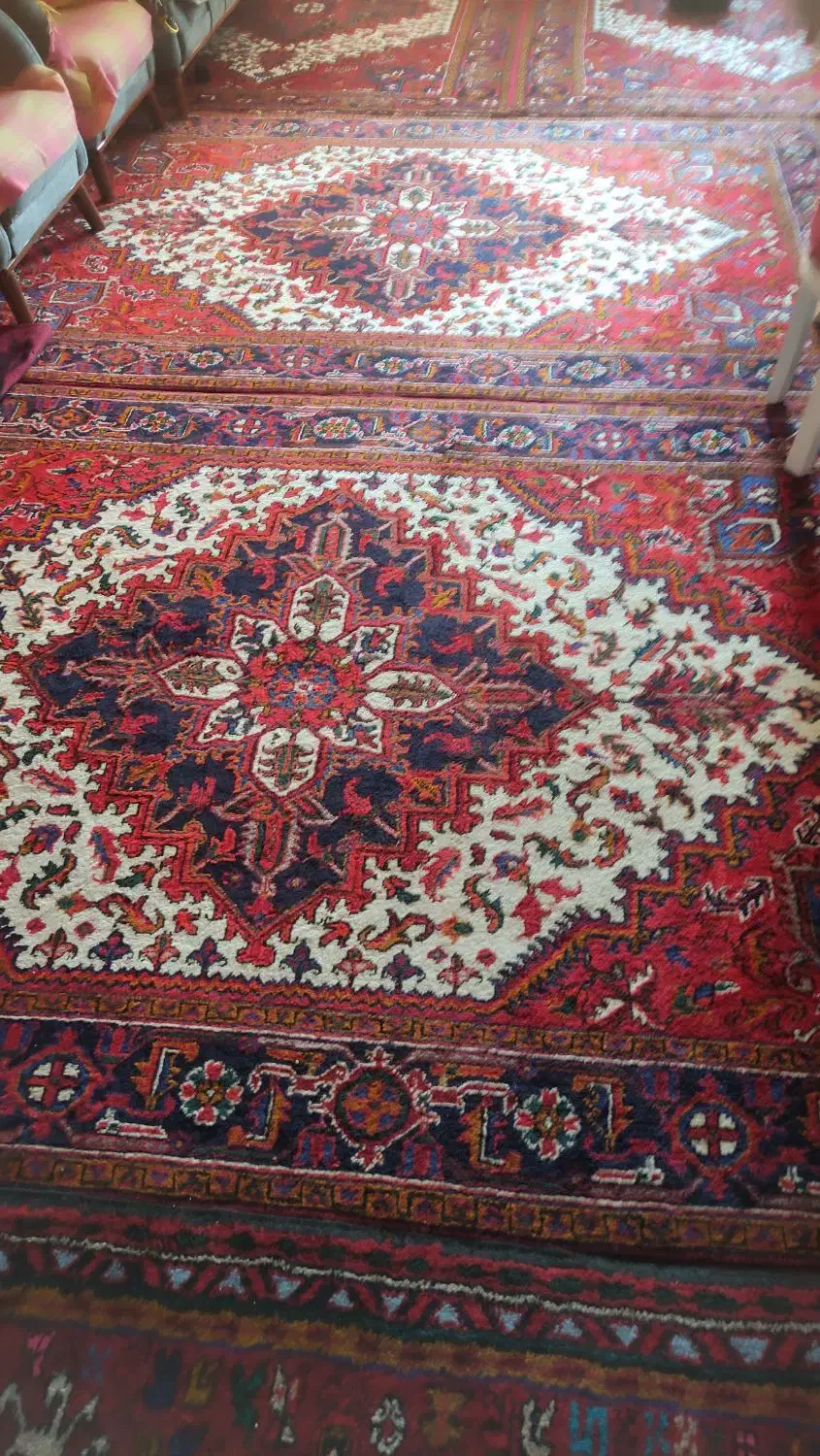 فرش دستباف پروانه|فرش|مراغه, |دیوار