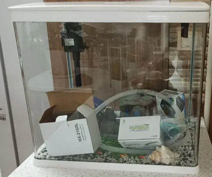 آکواریوم کاملا نو و تمیز با همه ی تجهیزات|ماهی|کرج, اخگرآباد|دیوار