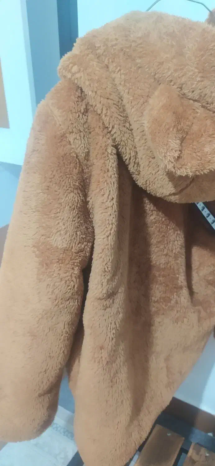 کاپشن تدی|لباس|فولادشهر, A6|دیوار