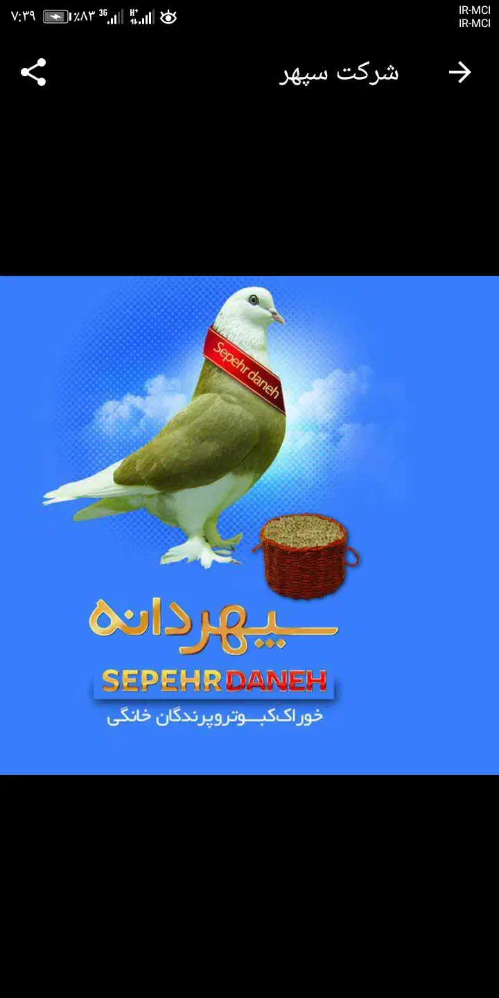 دانه گسترطاها گندم ارزن مرغ کبوتر|لوازم جانبی حیوانات|شیراز, پودنک|دیوار