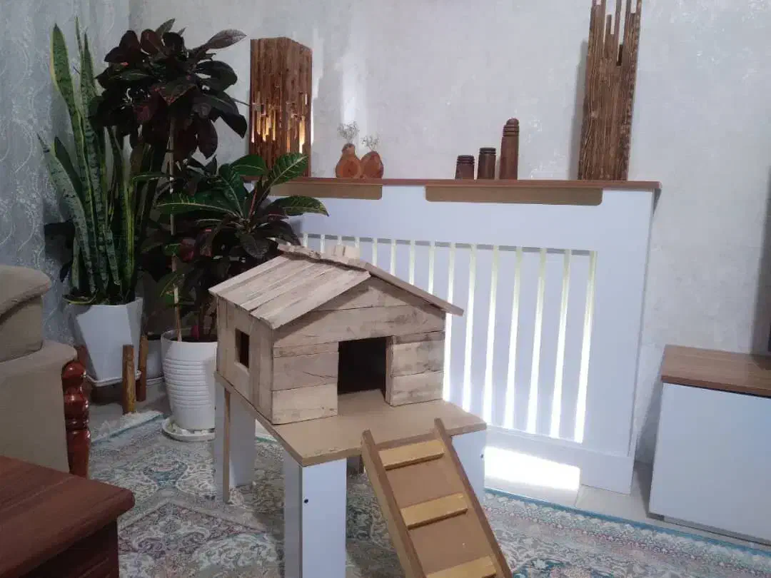 لانه خرگوش|لوازم جانبی حیوانات|تهران, استاد معین|دیوار