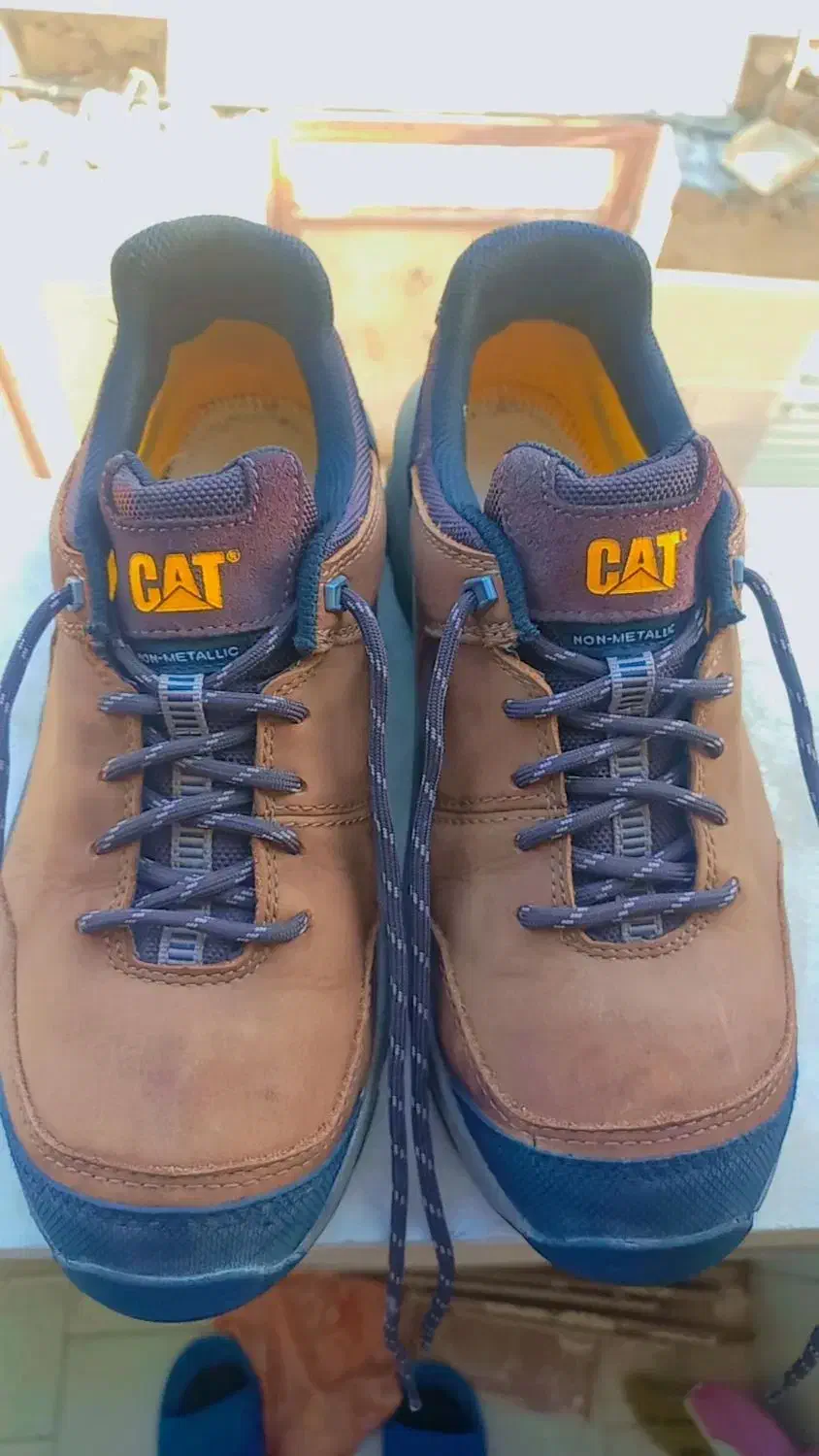 کفش|کیف، کفش، کمربند|قشم, |دیوار