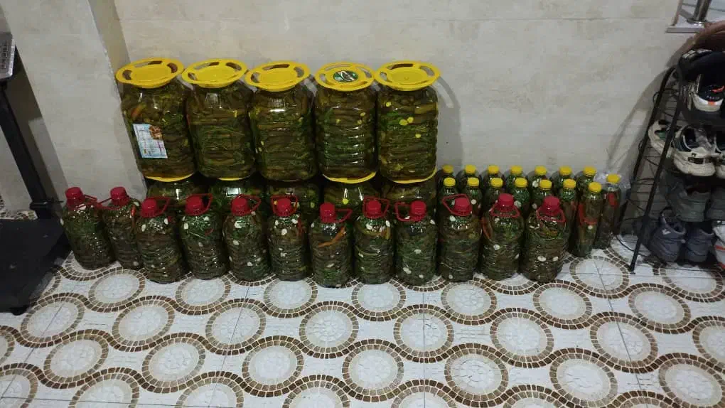 خیارشور ۱۰۰ درصد خونگی|خوردنی و آشامیدنی|اسلام‌شهر, شهرک مهدیه|دیوار