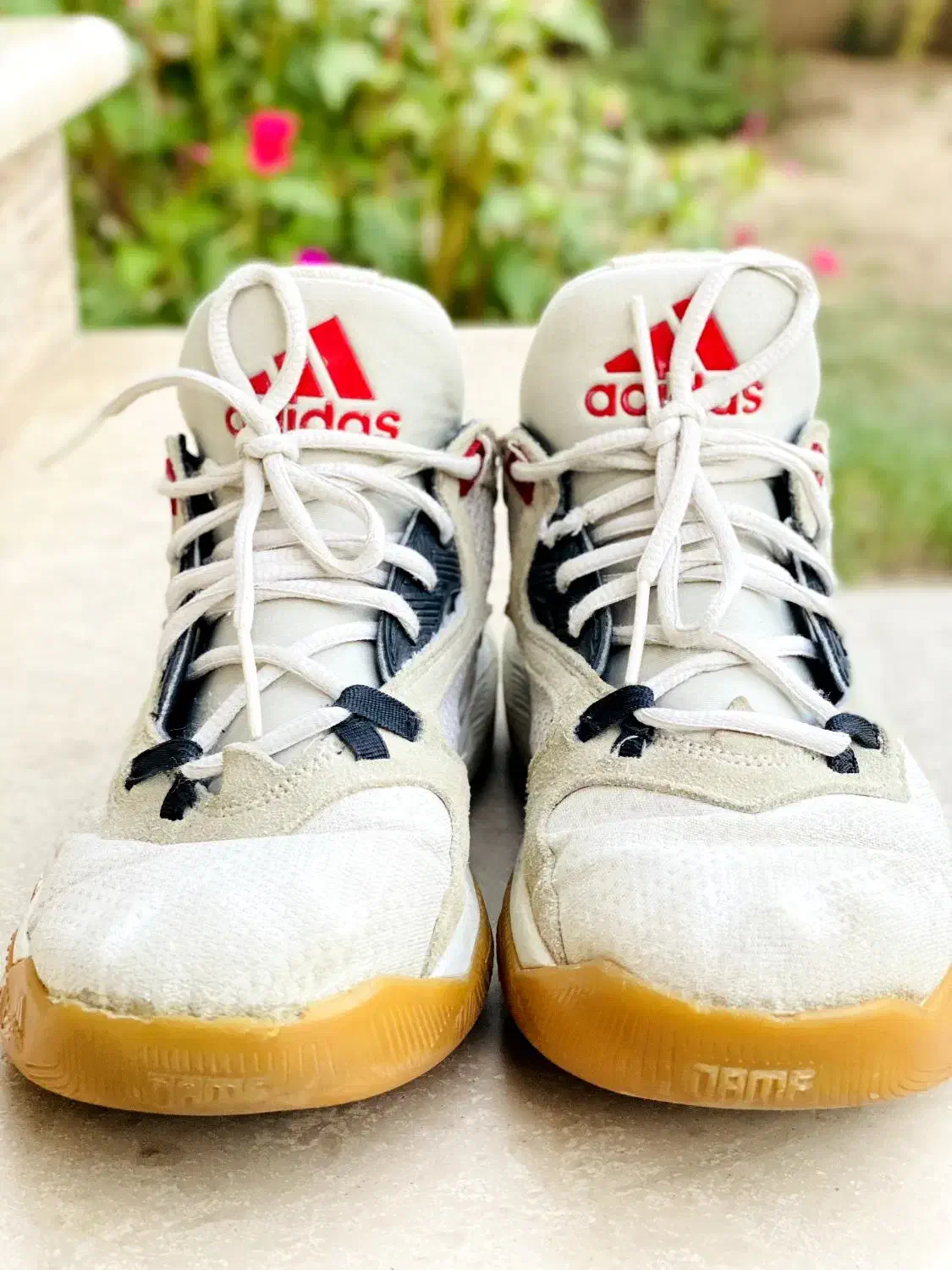 کفش|کیف، کفش، کمربند|مینودشت, |دیوار