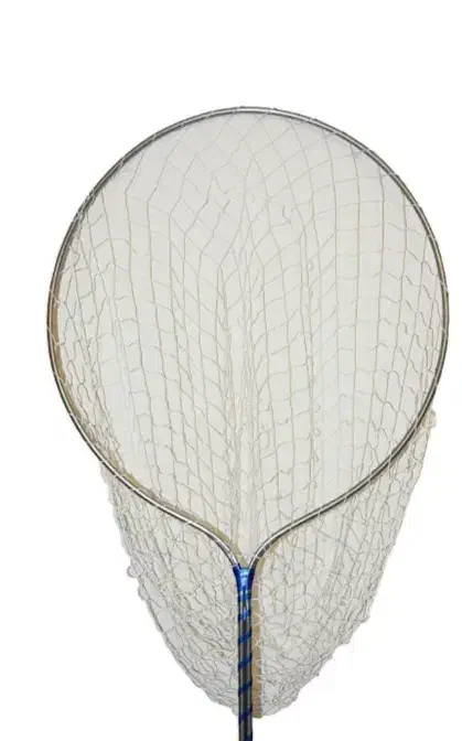 کفتر  تور|ماهیگیری|سبزوار, توحیدشهر|دیوار