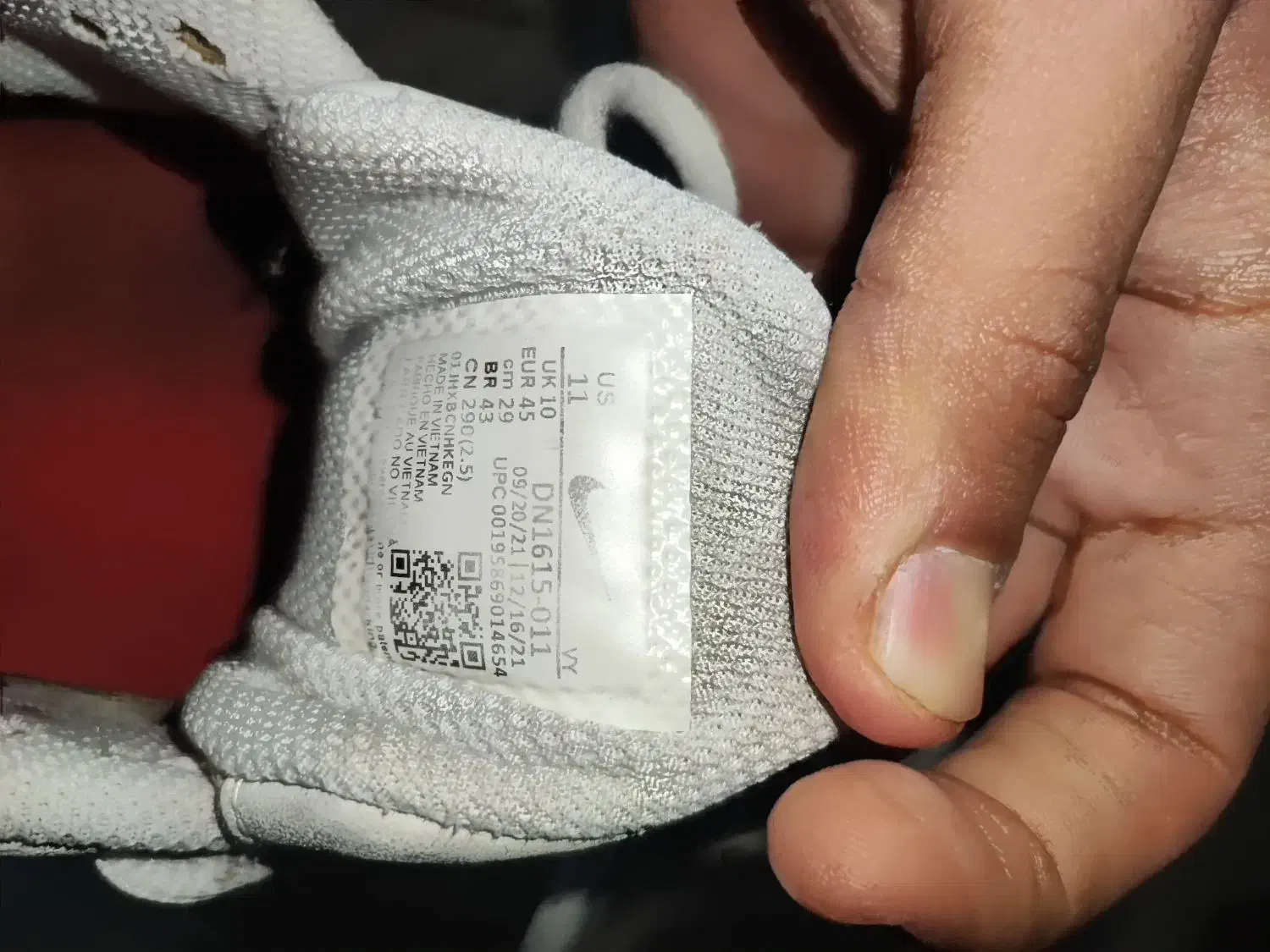 کفش|کیف، کفش، کمربند|بندرعباس, |دیوار