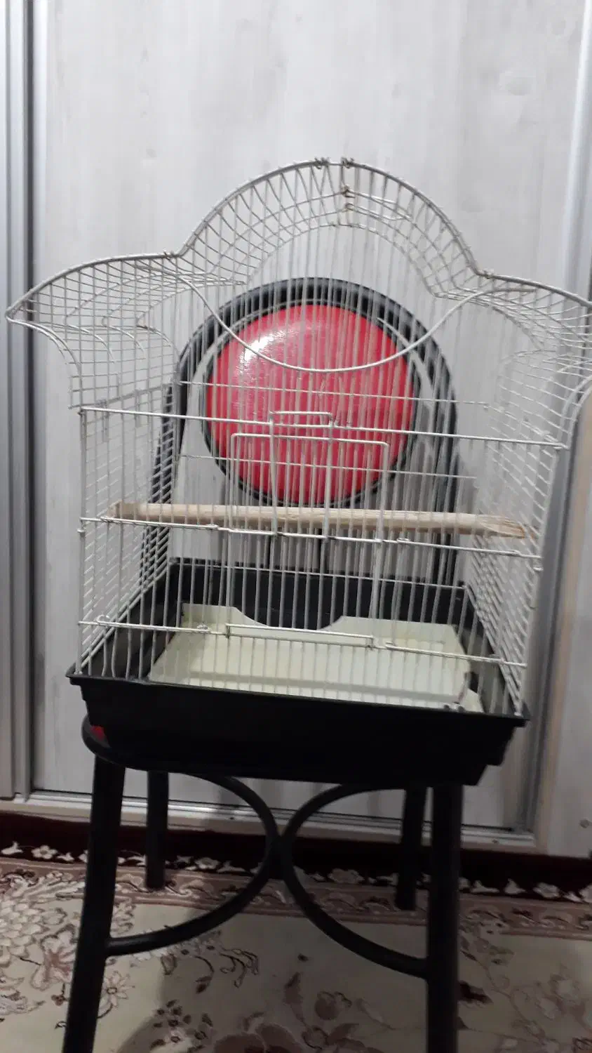 دو عدد قفس پرنده|لوازم جانبی حیوانات|سهند, |دیوار