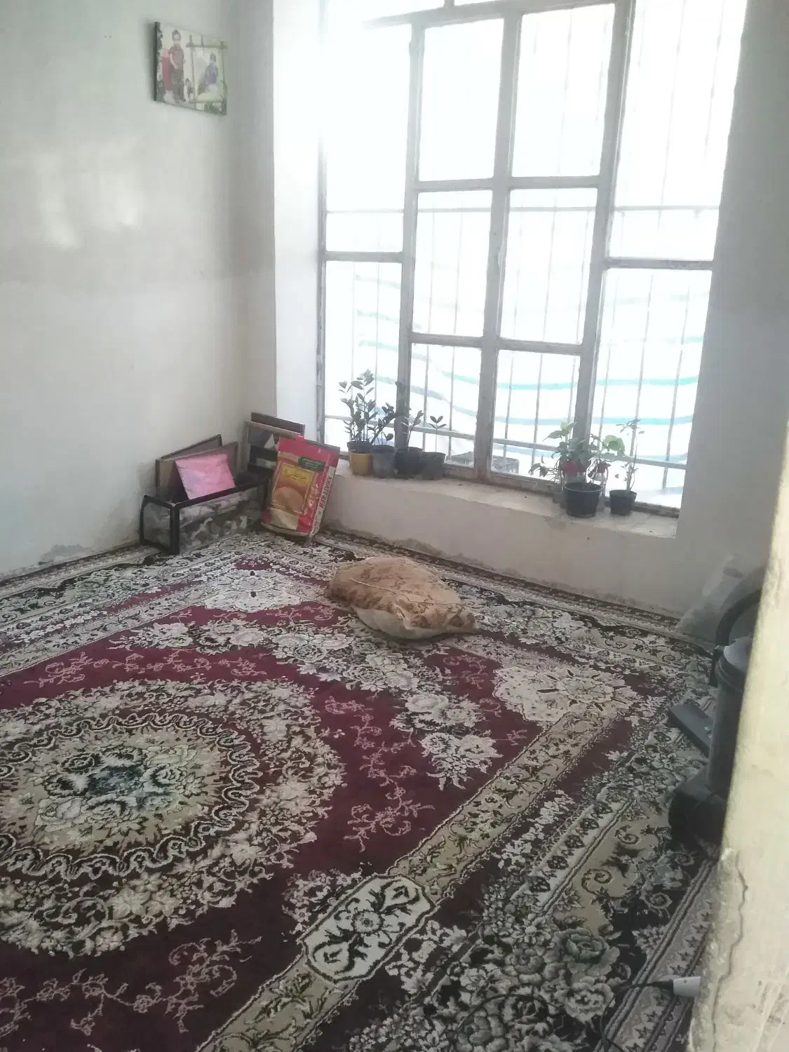 خانه اجاره‌ای|اجارهٔ خانه و ویلا|شیراز, کرونی(خاتونک)|دیوار