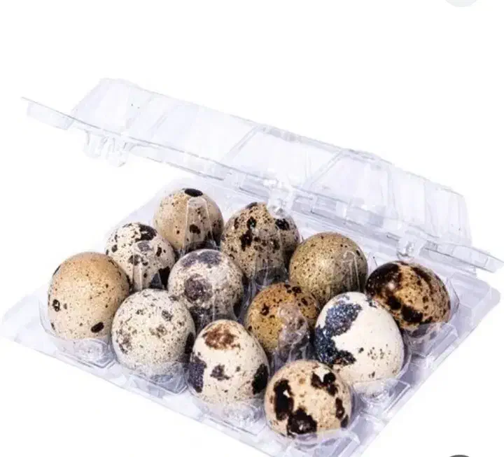 تخم بلدرچین|خوردنی و آشامیدنی|ماهان, |دیوار