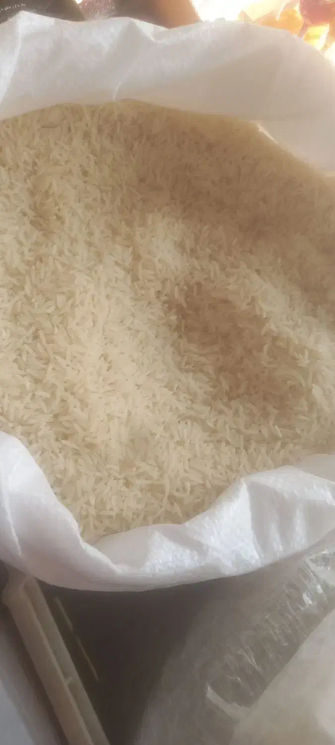 برنج استانه اشرفیه|خوردنی و آشامیدنی|اردبیل, |دیوار