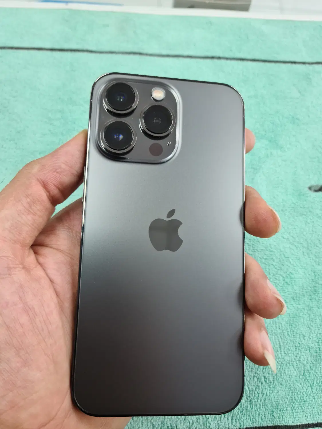 Iphone 13promax|موبایل|شیراز, آزادی|دیوار