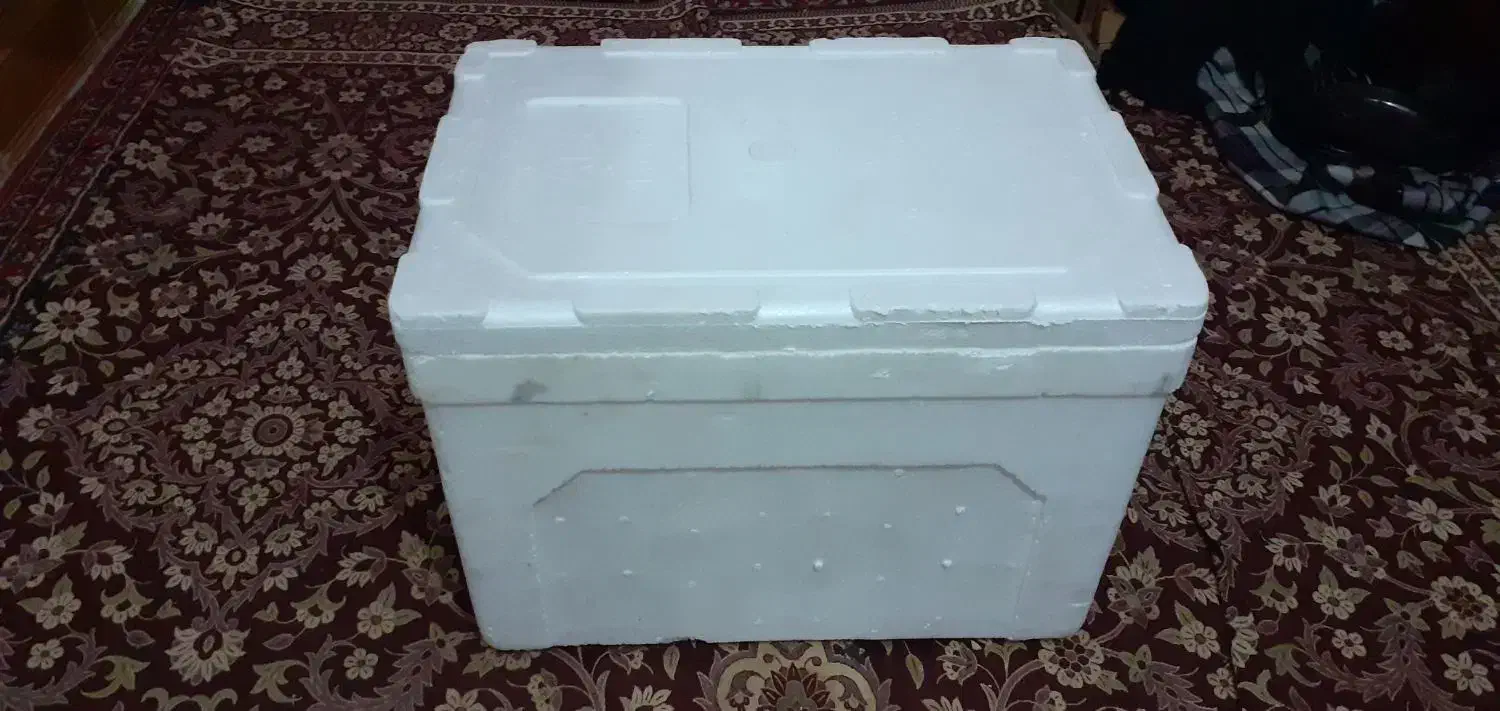 کائوچو برا ماهی|ماهی|هندیجان, |دیوار