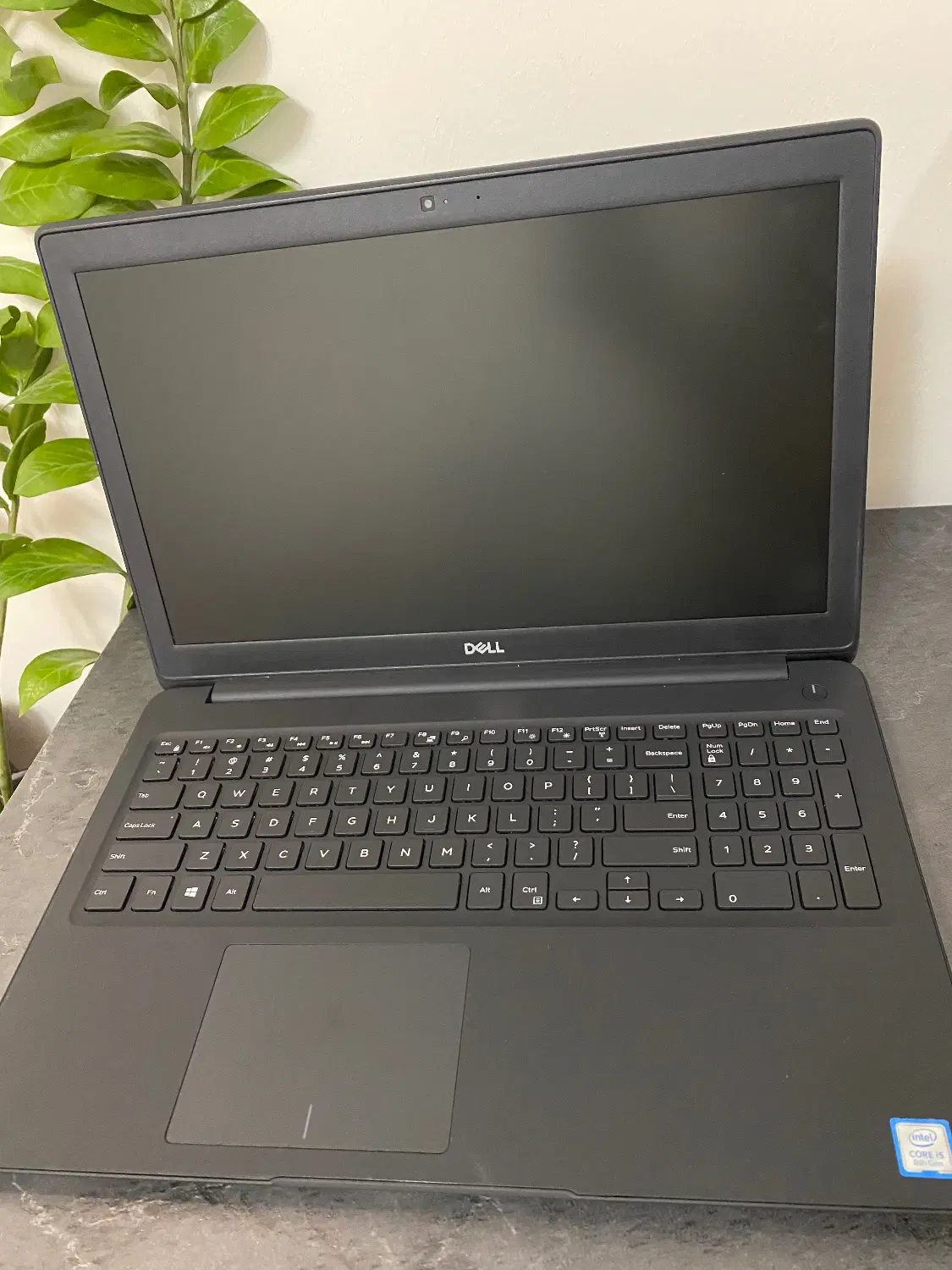 Laptop Dell cori5 ssd256 ram8|رایانه همراه|مشهد, سجاد شهر|دیوار