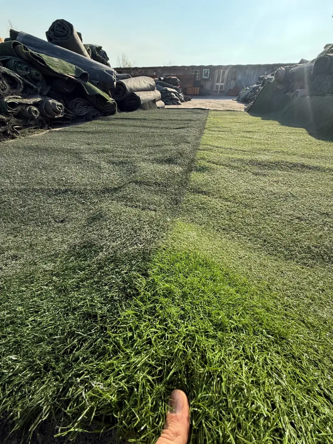 پخش چمن مصنوعی و فنس برگ ریحون ( کارکرده و نو )|مصالح و تجهیزات ساختمان|تهران, جوانمردان (اندیشه)|دیوار