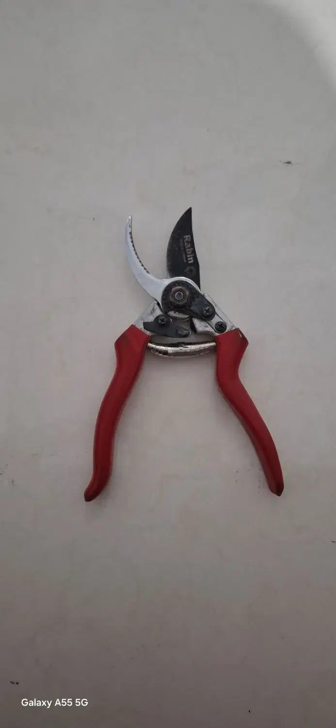 قیچی باغبانی رابین|ابزارآلات|مشهد, پنجتن|دیوار