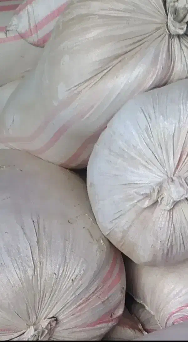 کاه گندم|لوازم جانبی حیوانات|سملقان, |دیوار