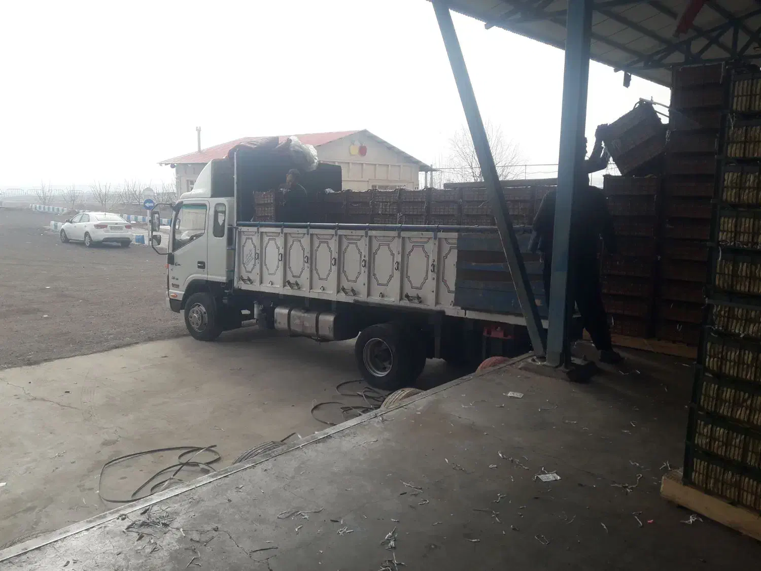 حمل ونقل بار|خدمات حمل و نقل|میانه, |دیوار