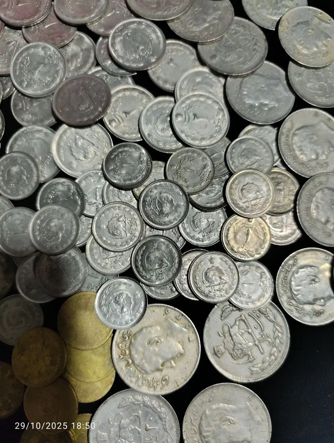 100 عدد سکه کلکسیونی شاهی|کلکسیون سکه، تمبر، اسکناس|بم, |دیوار