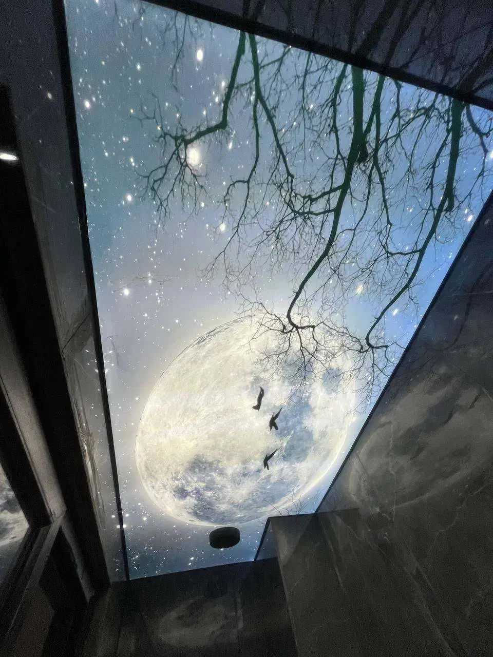 مجری تخصصی سقف کشسان|مصالح و تجهیزات ساختمان|گرگان, |دیوار