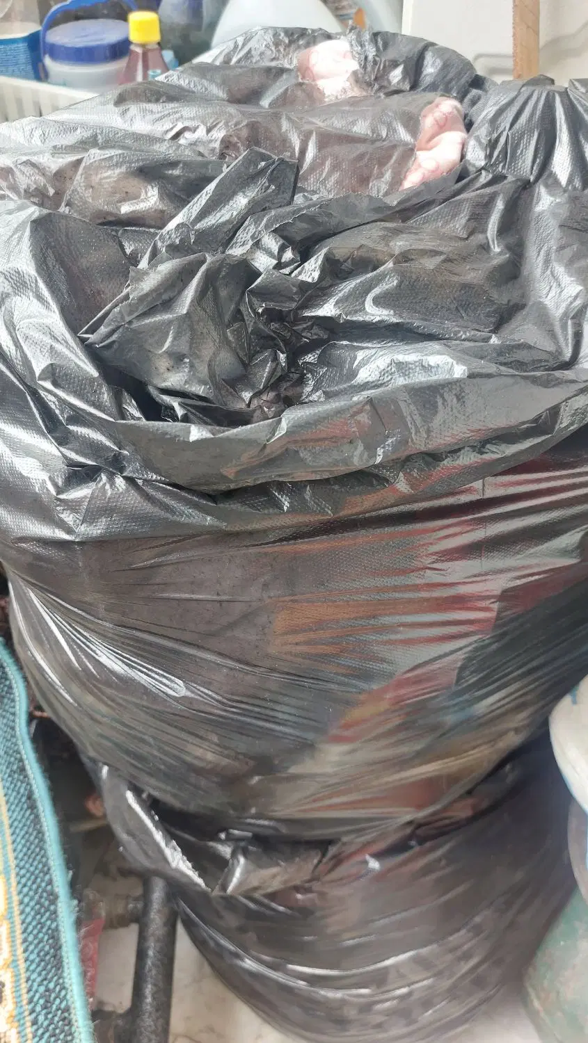 لباس|لباس|گرگان, |دیوار