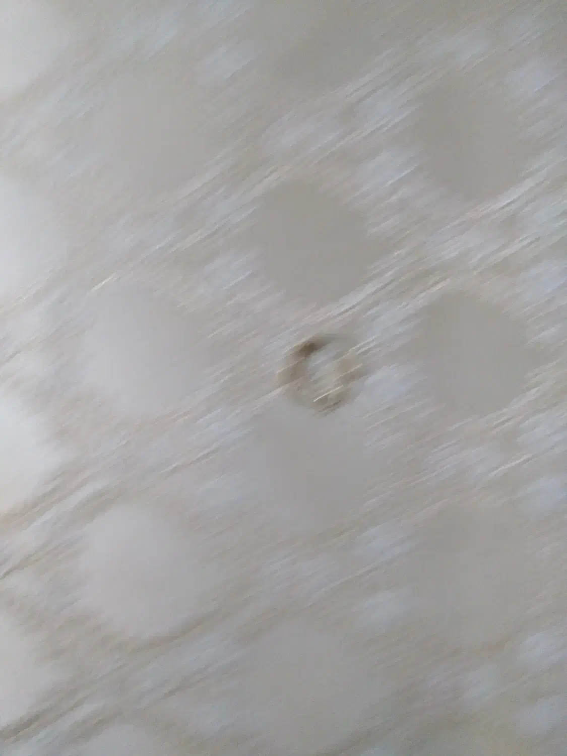 گمشده|اشیا|آذرشهر, |دیوار