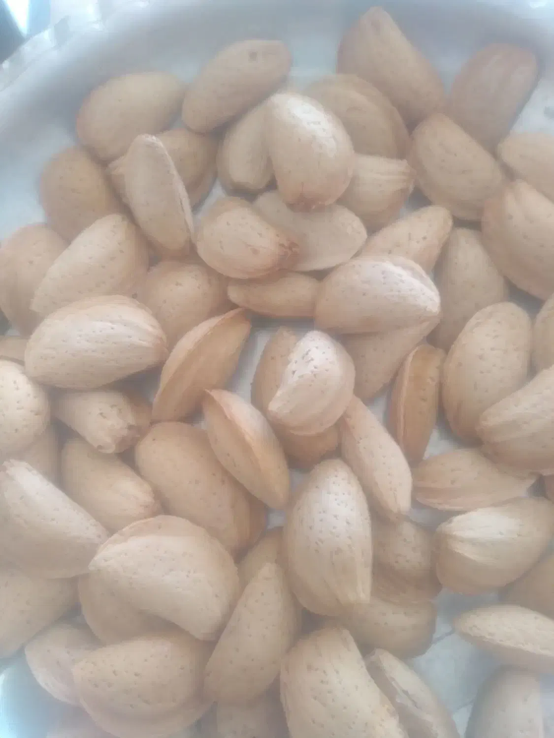 بادام سنگی|خوردنی و آشامیدنی|بروجن, |دیوار