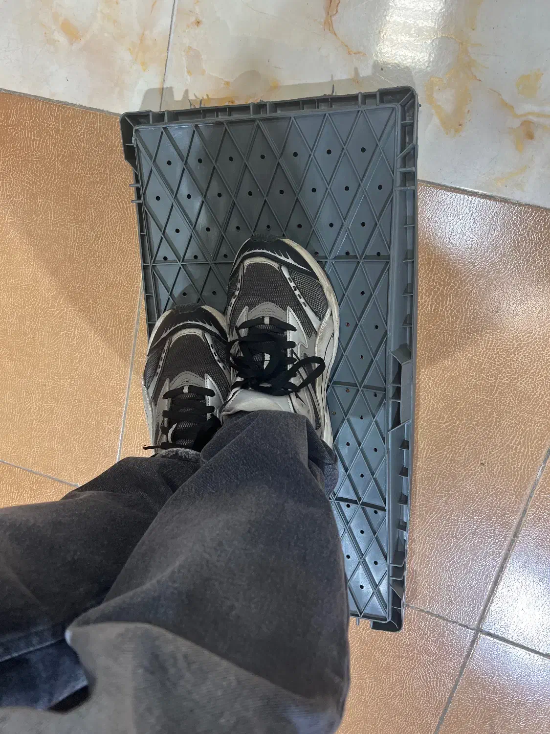 تولیدی سینی نشا طوسی ضد ضربه|عمده‌فروشی|لنگرود, |دیوار