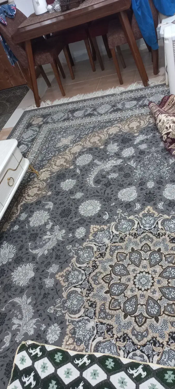 فرش ۱۲متری|فرش|گرگان, |دیوار