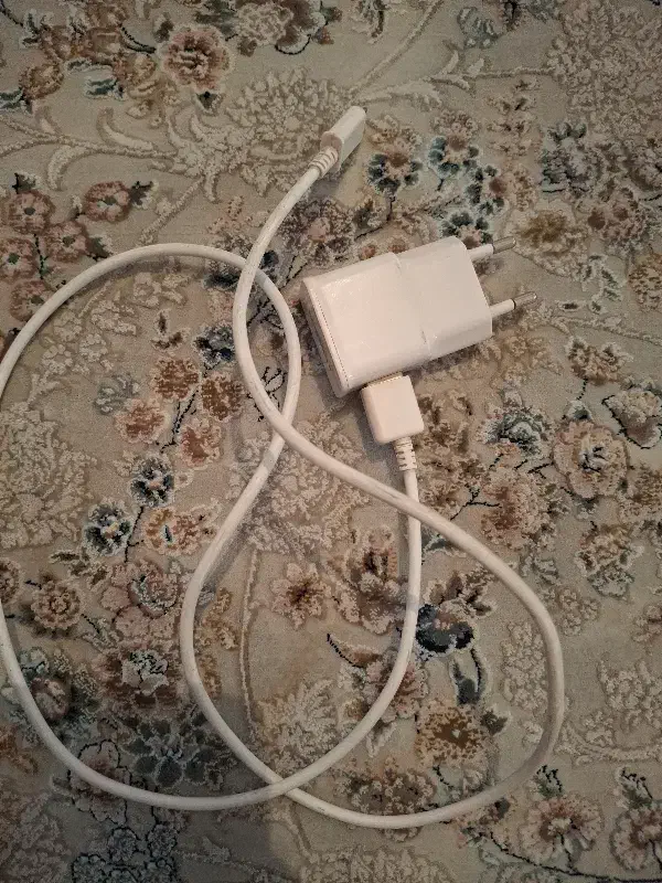 دو عدد شارژر|لوازم جانبی موبایل و تبلت|همدان, |دیوار