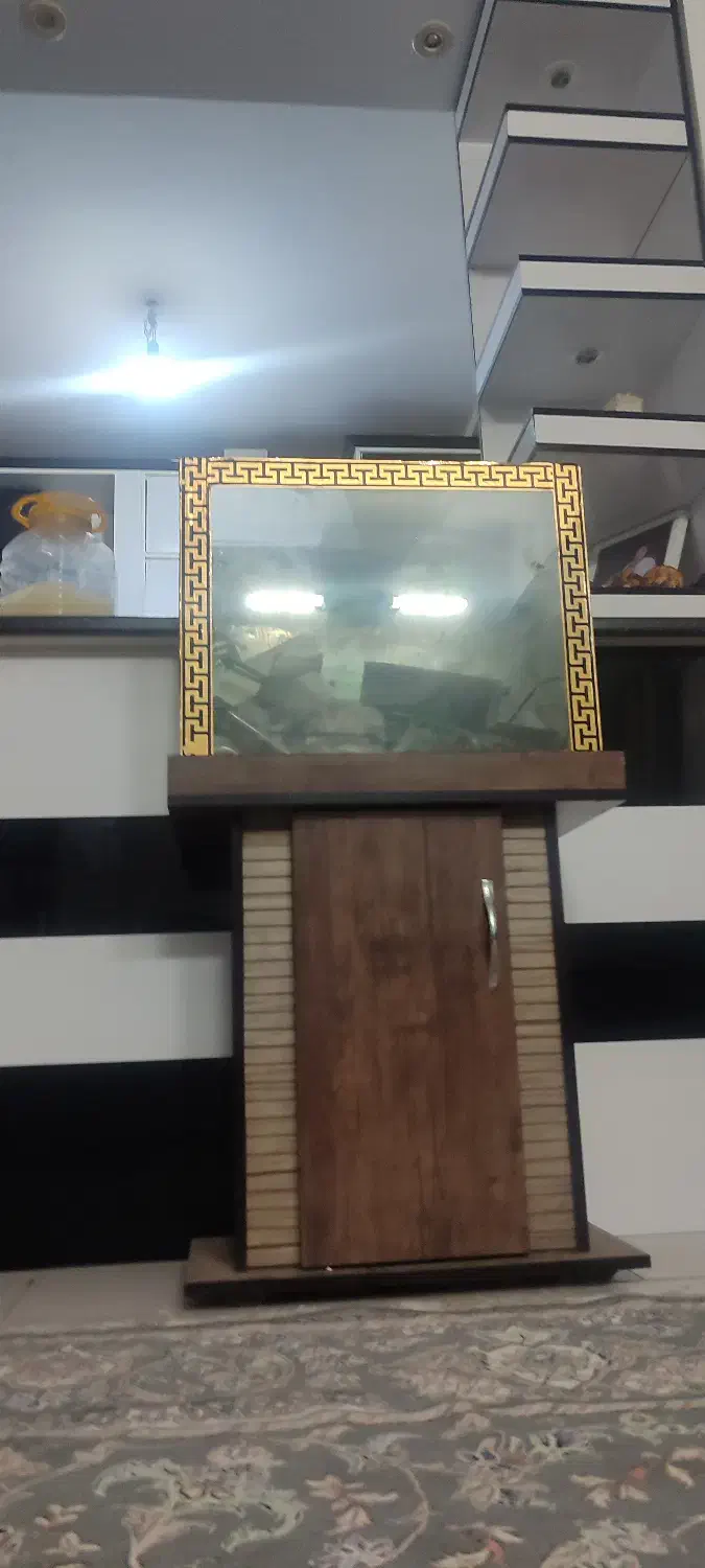 اکواریوم|ماهی|پاکدشت, شهرک امام رضا|دیوار