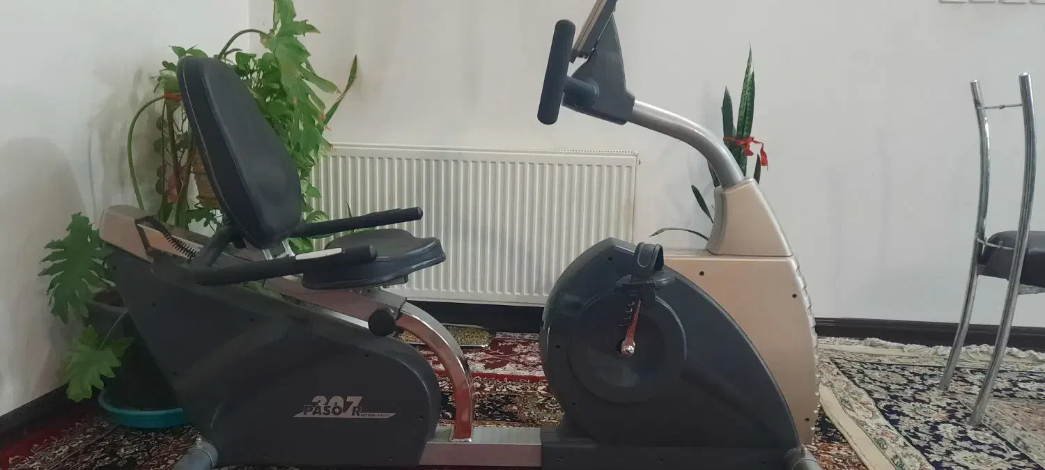 دوچرخه ثابت در حد نو KETTLER مدل 307 PASOR|تجهیزات ورزشی|لنجان, |دیوار