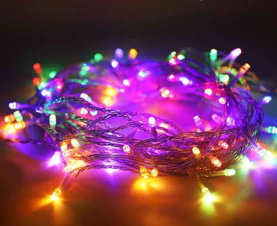 ریسه سوزنی ۱۰ متری ویژه جشن و مراسمات زمستانه|ریسه و چراغ تزئینی|اردبیل, |دیوار