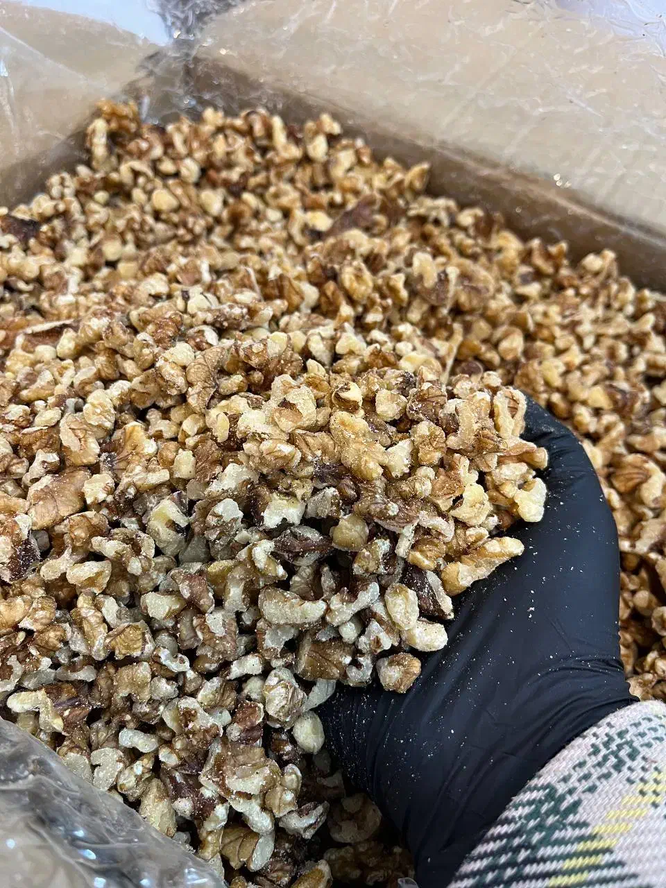 دندانه گردو امسالی مناسب قنادها|عمده‌فروشی|مشهد, سرافرازان|دیوار