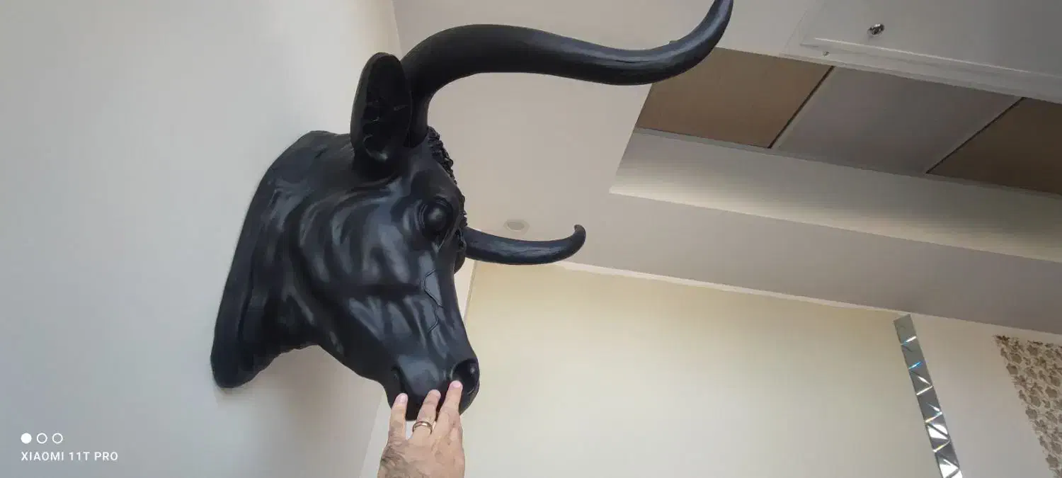 مجسمه گاو بوفالو فایبرگلاس|مجسمه، تندیس، ماکت|قزوین, |دیوار